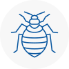 Bed Bug Extermination In Southfield