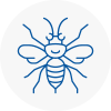 Southfield Hornet Nest Removals