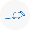 Mice Exterminators In Southfield