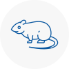 Rat Control Southfield