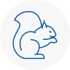 Southfield Rodent Removals