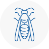 Southfield Wasp Nest Removal